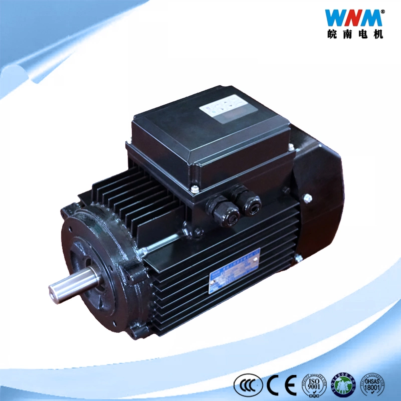 Yvf2 Wnm Brand Inverter Variable Frequency Motor Spare Parts of Induction Electric Motors Manufacturer Since 1958 OEM ODM