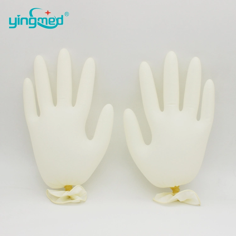 Medical Gloves Disposable Latex Examination Gloves Powder Free and Powdered Gloves