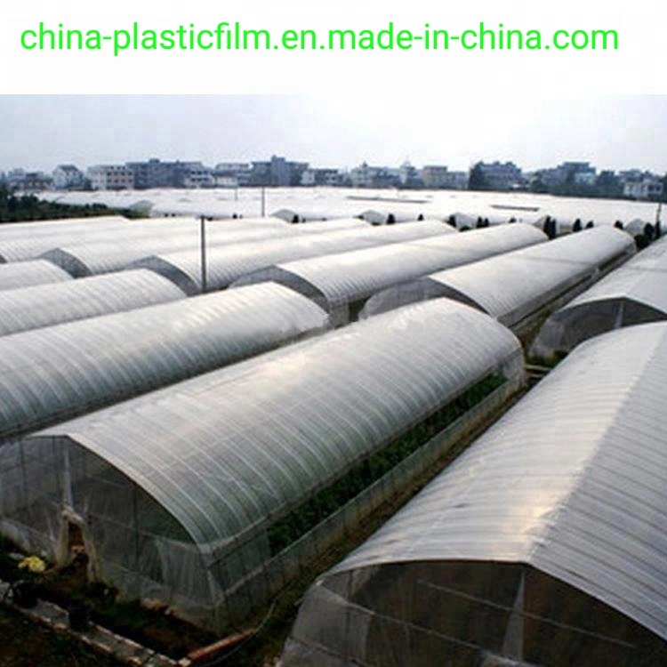 Agricultural Low Density Polyethylene UV Treated Plastic Sheeting Anti-Drip Greenhouse Plastic Film