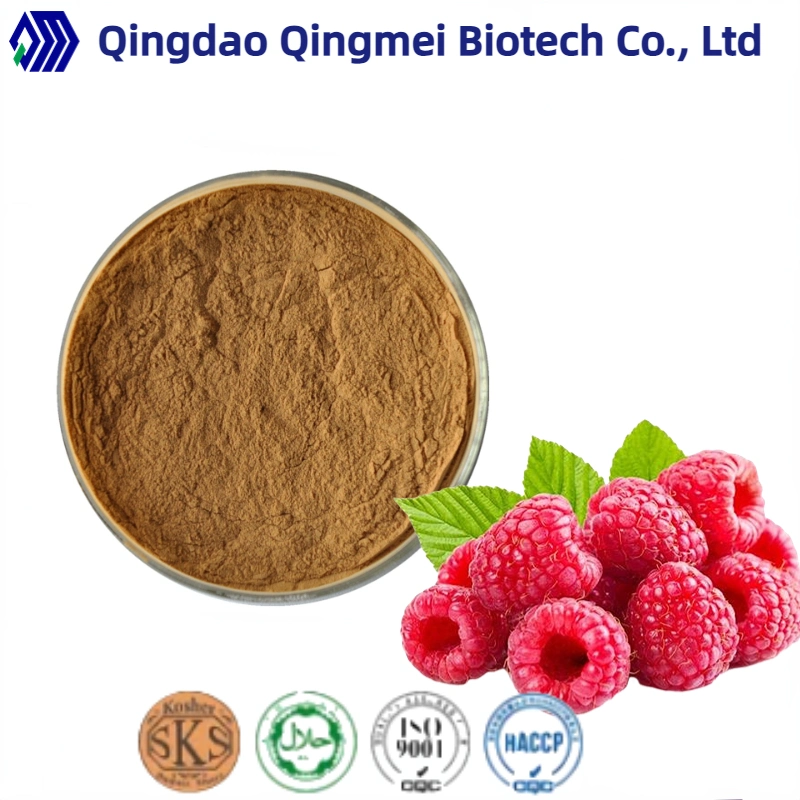 Natural 100% Plant Extract Raspberry Extract