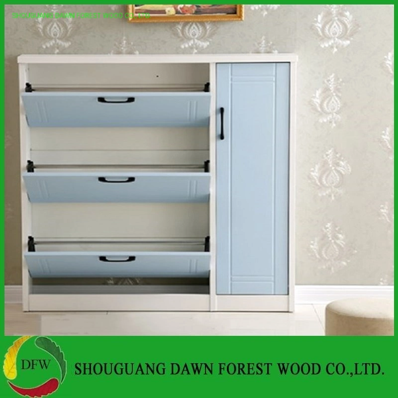 Wood Panel MDF/Particle Board Shoe Cabinet