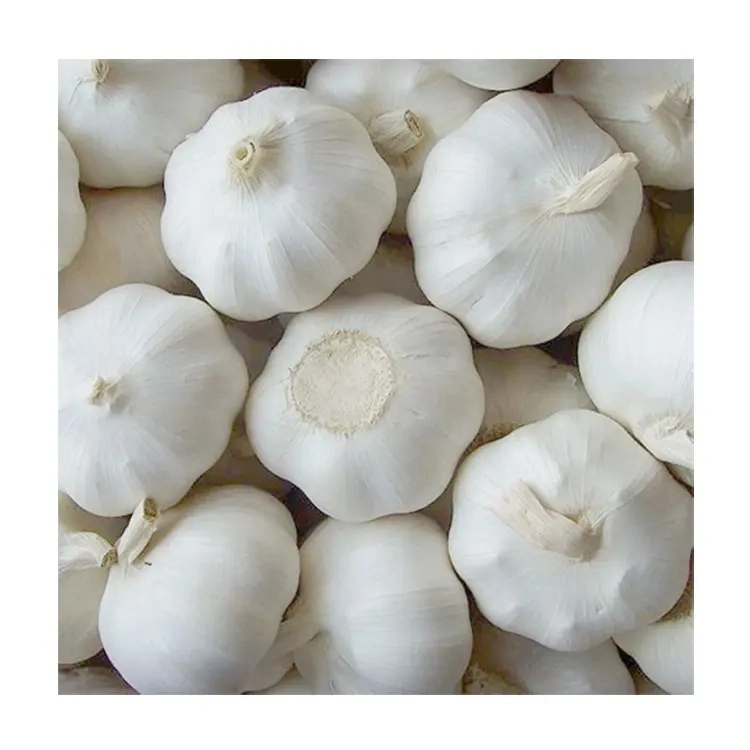 Pure White Garlic From China