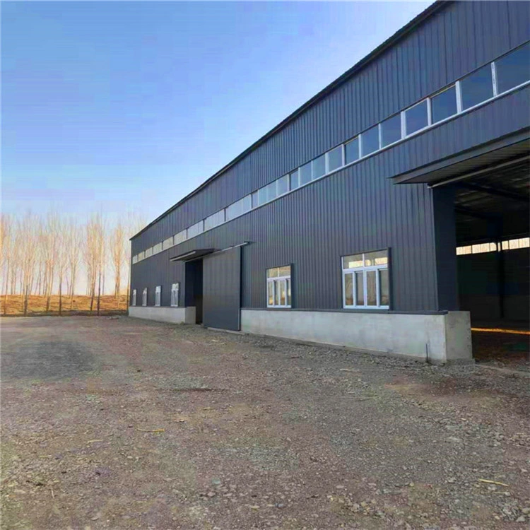 China Cheap Prices Fast Assemble Modern Design Professional Manufactured Steel Structure Factory Building Homes for Sale