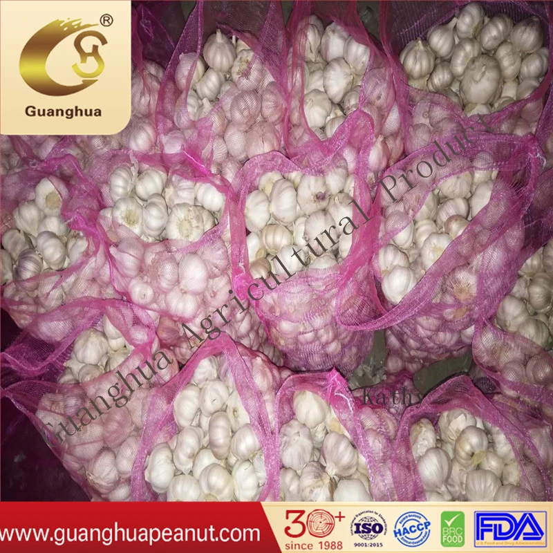 New Crop High quality/High cost performance  Pure White Chinese Garlic