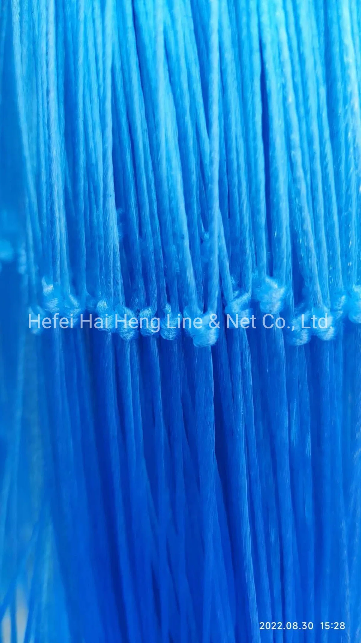 La exportación de la fábrica china Red de pesca monofilamento de nylon Multifilament Twist Fish Net 0.15mm