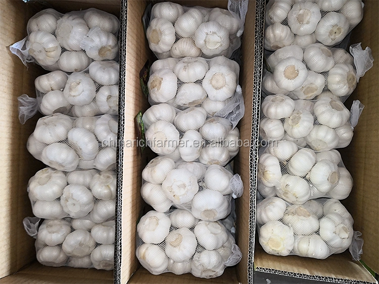 New Crop Pure White Garlic Normal White Garlic Export From China