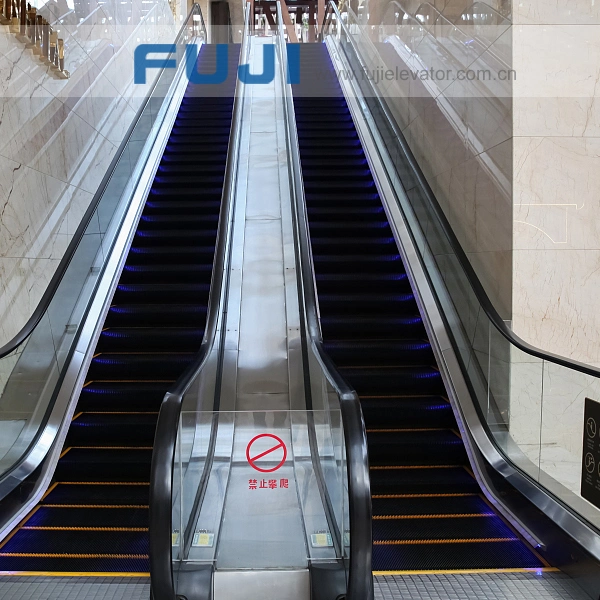 FUJI Step Lift, Electric Escalator, Outdoor Escalator for Sale