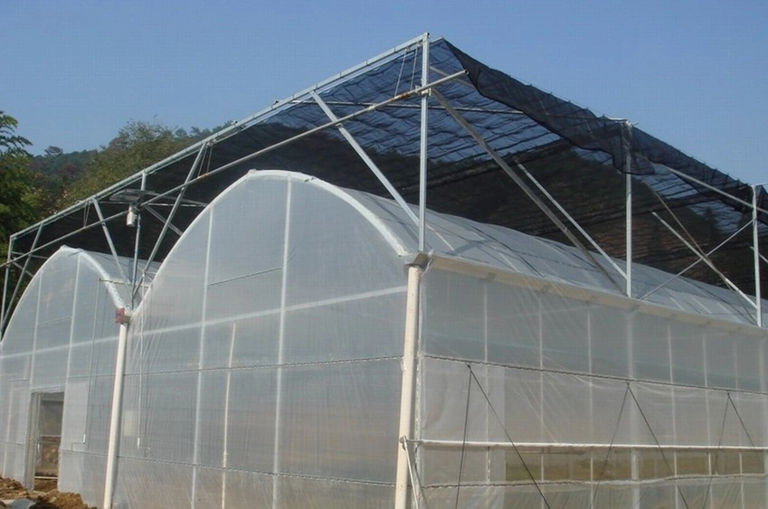 Cheap High quality/High cost performance  Light Steel Structure Prefabricated Greenhouse