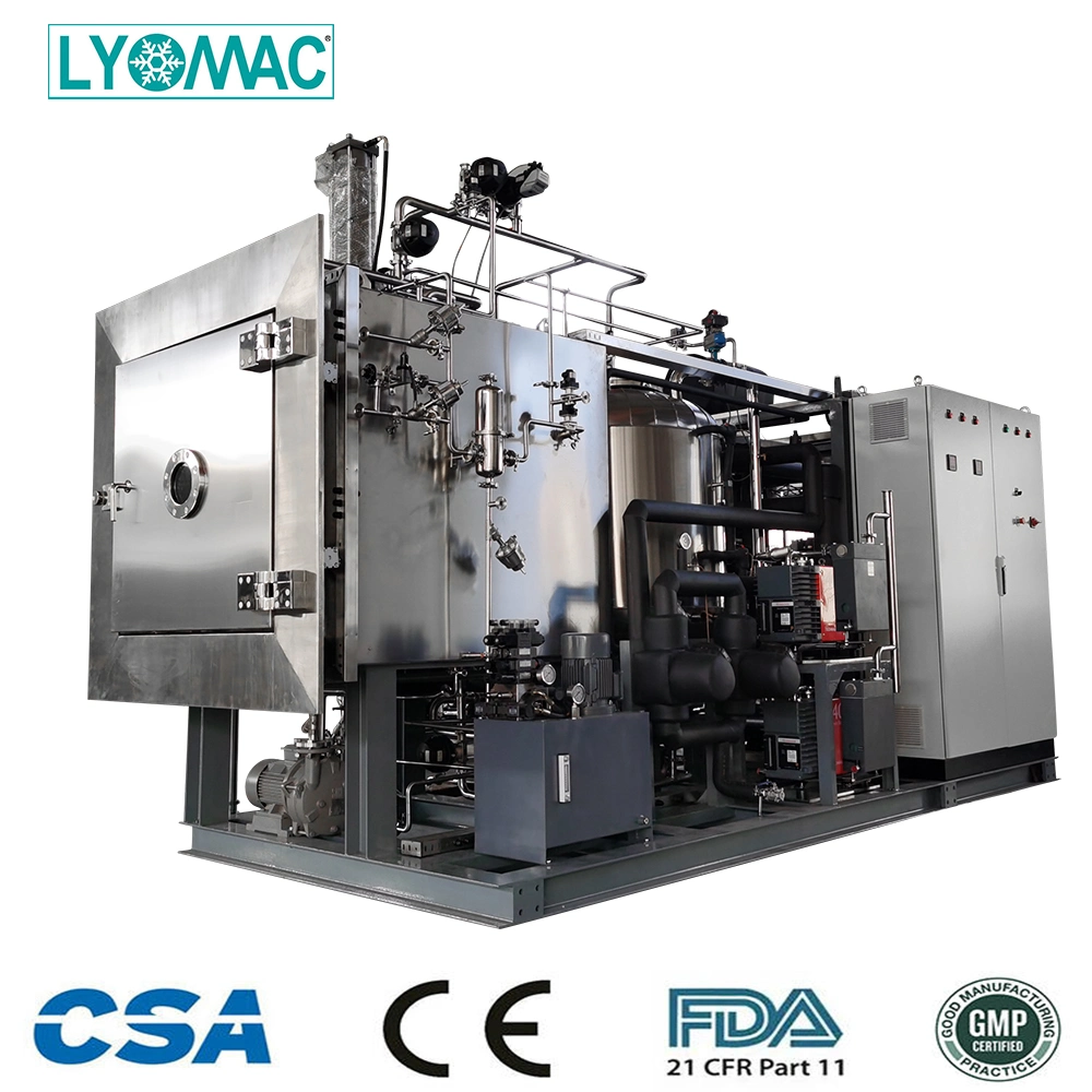 GMP/FDA Complianced Lyotro-10 Freeze Dryer Lyofilizers