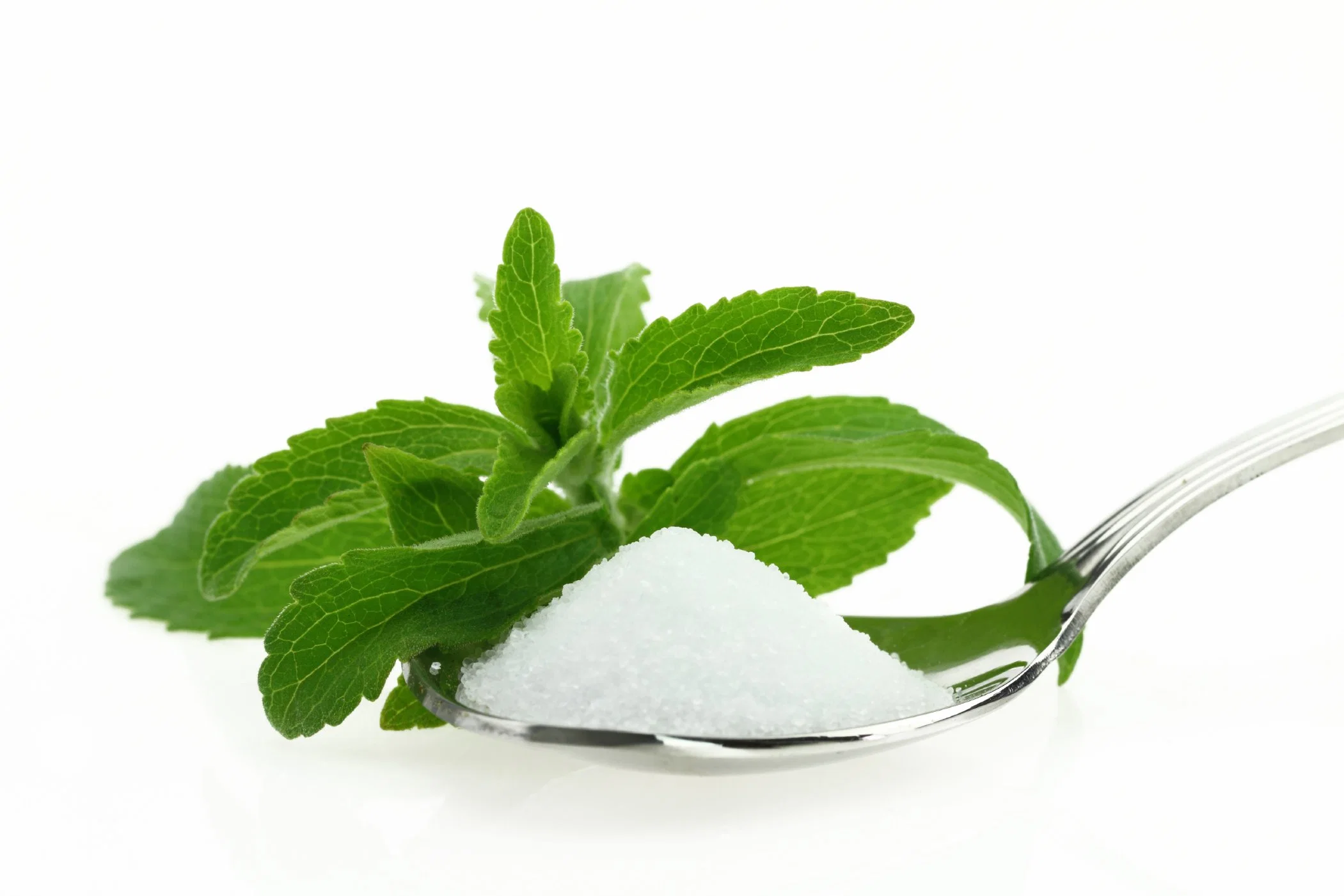 100% pur naturel Stevia Ra 97% sucre Stevia 95% 99% Extrait poudre d'édulcorant