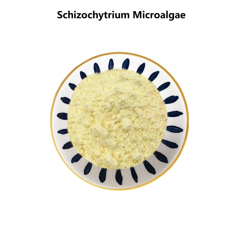 Feed Grade Schizochytrium Microalgae 18% DHA of DHA Powder for Animal Feed Additive CAS6217-54-5