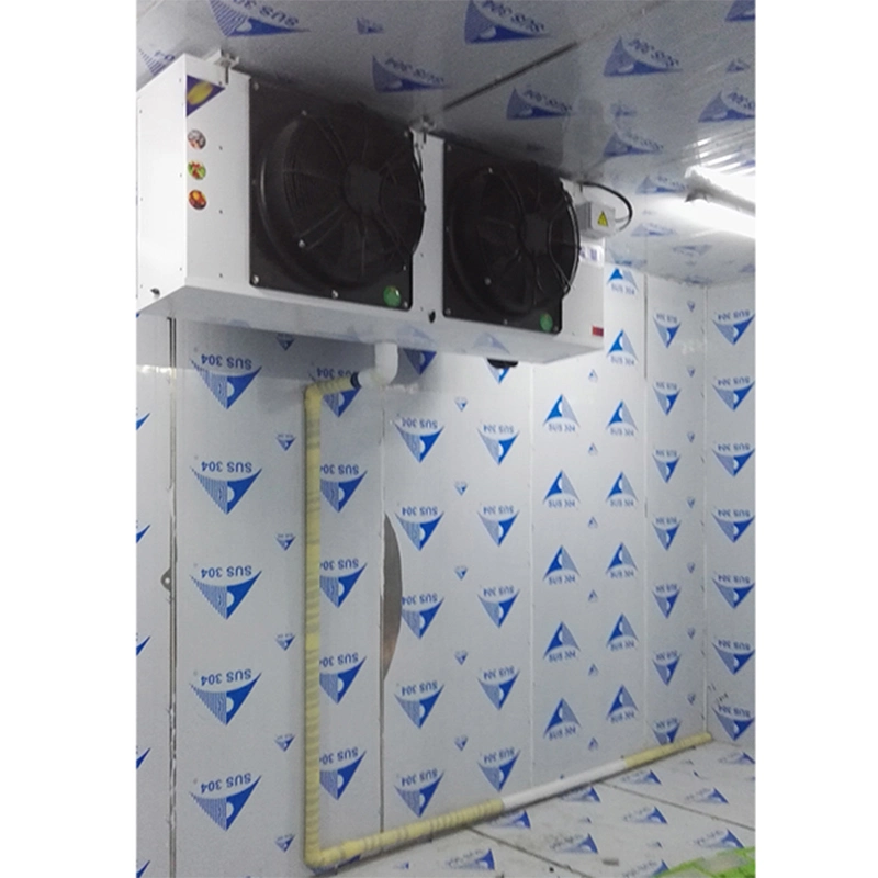 Equipo de refrigeración de frío de bajo mantenimiento personalizado con refrigerador de aire Y unidad de condensación