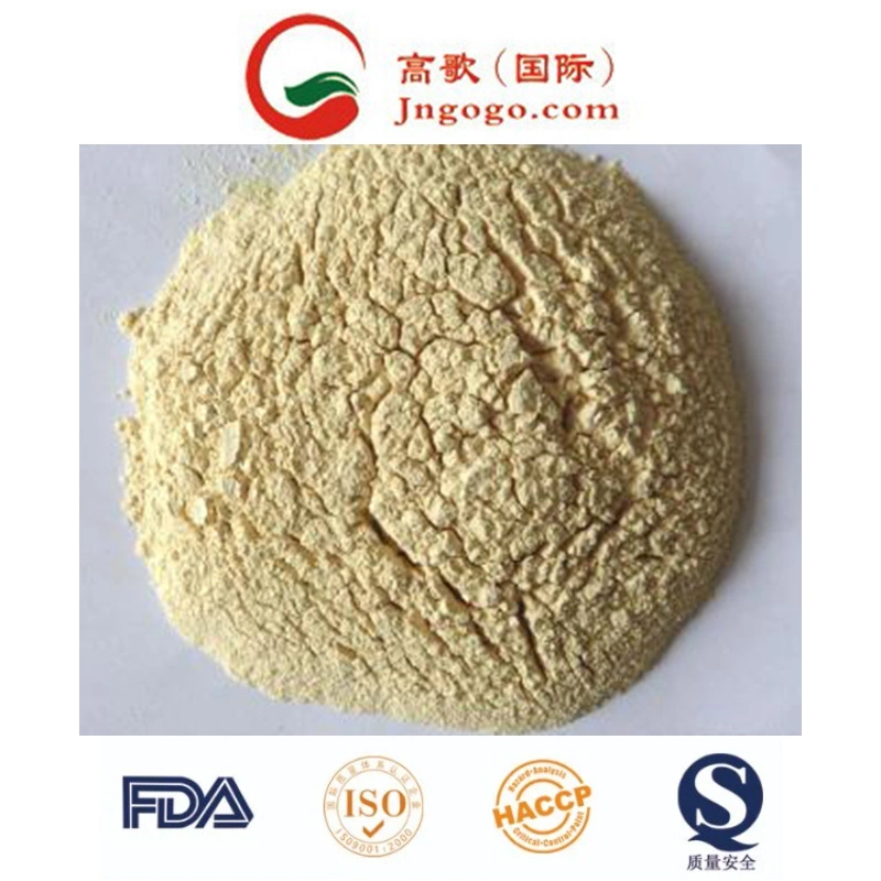 New Crop Dehydrated Onion Powder (100-120 Mesh)
