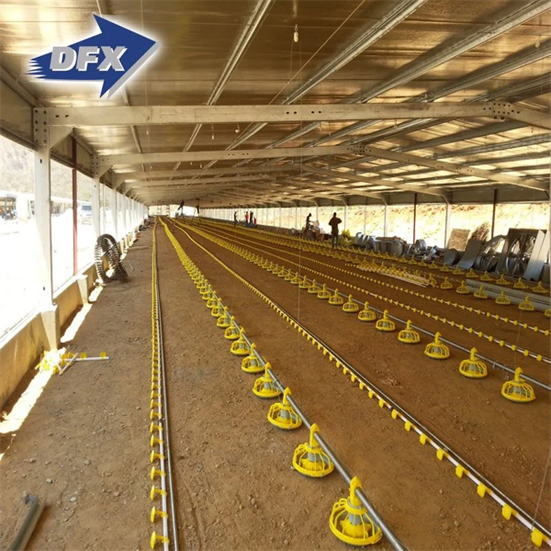 Conception de bâtiment de poulailler en acier léger préfabriqué galvanisé pour l'élevage de poulets.