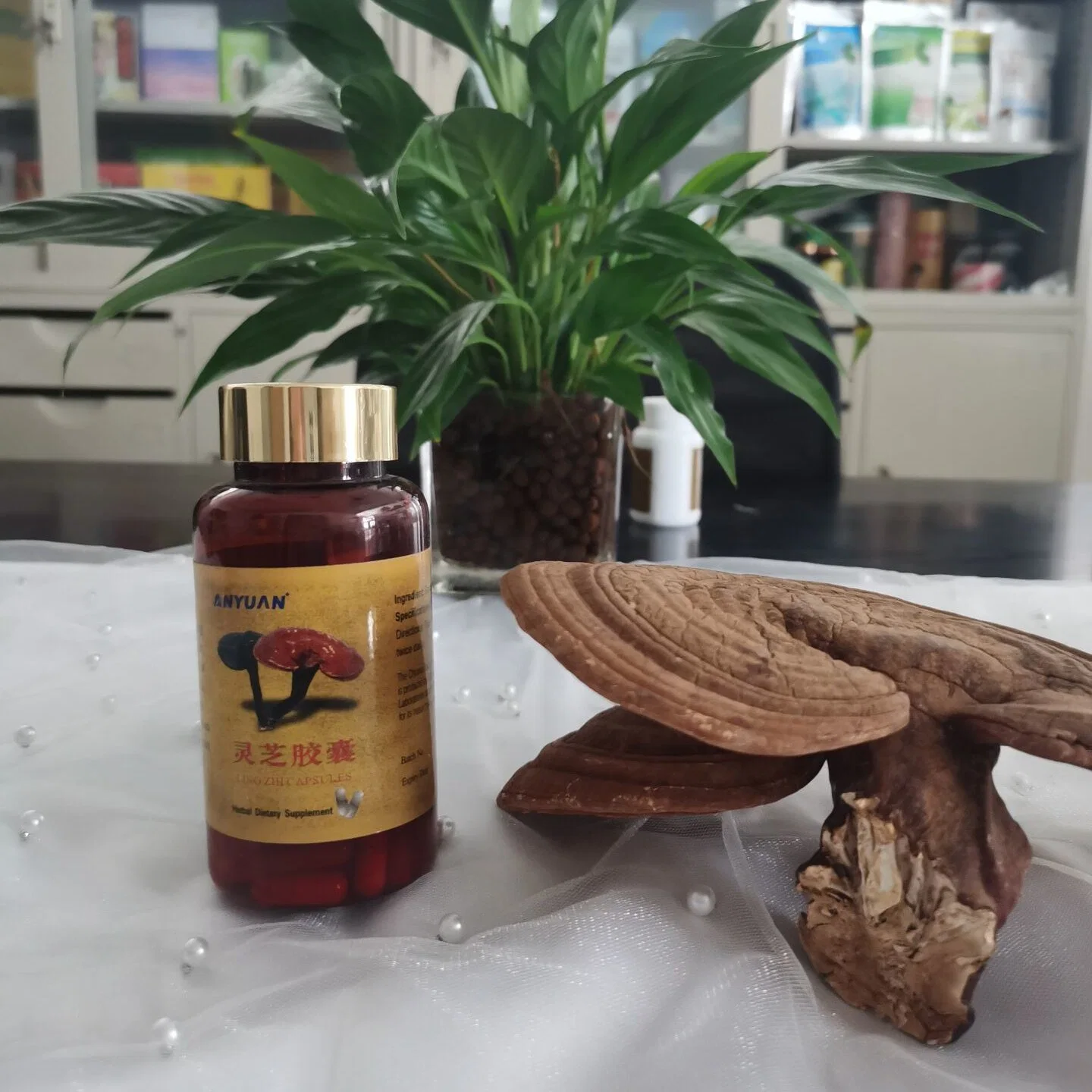 Tratamiento del insomnio proteger el hígado Ganoderma lucidum Capule Productos Sanitarios