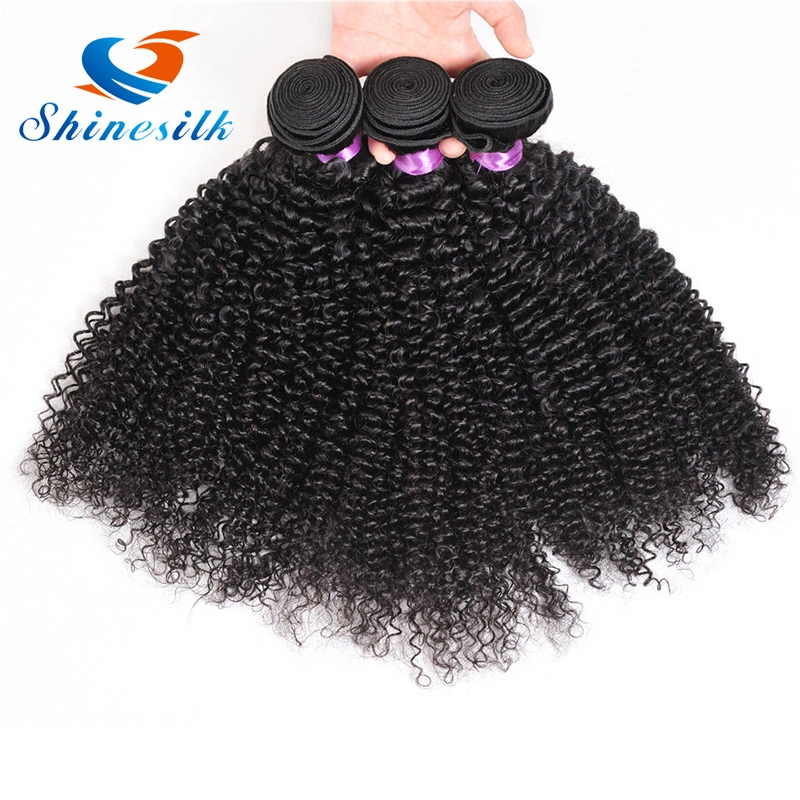 Burmese Kinky Curly Human Hair Bundle Bulk Hair Human Hair Braiding No Weft Kinky Curly Hair Extensions