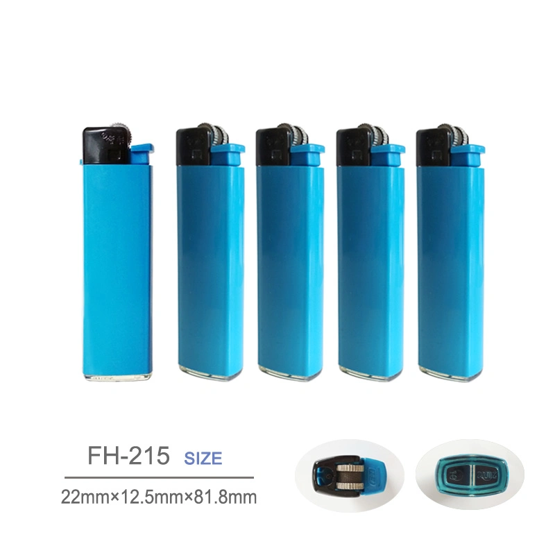 BBQ Ordinary Flint ABS Plastic Disposable Gas Mini Lighter