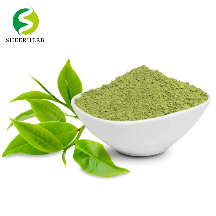 Food Grade Bulk Matcha Powder with Best Price Instant Matcha Green Tea Powder