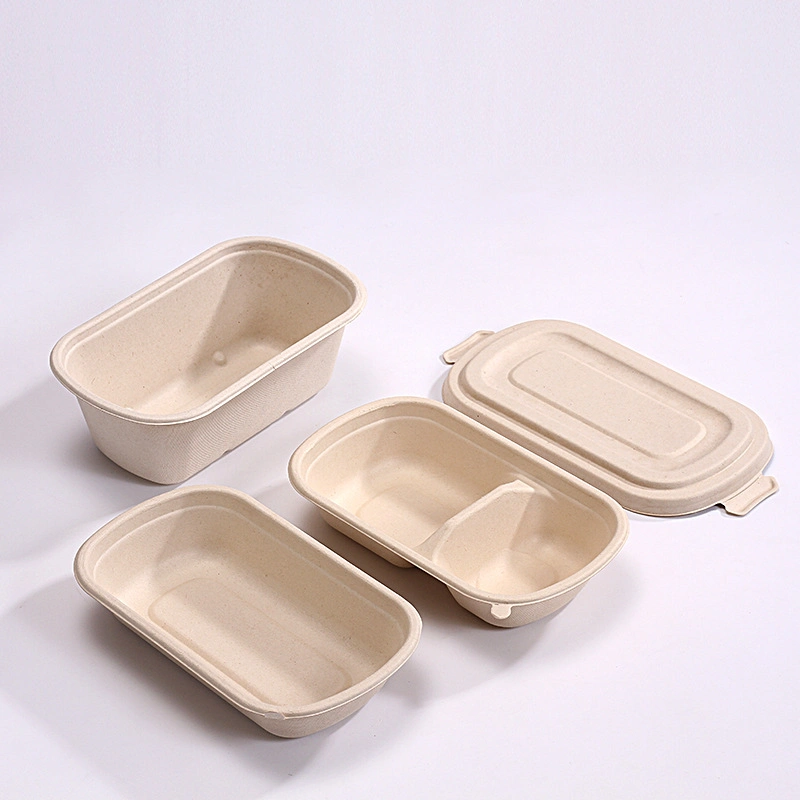 100% Compostable Disposable Bagasse Natural Take out Food Packaging Paper Containers Tableware