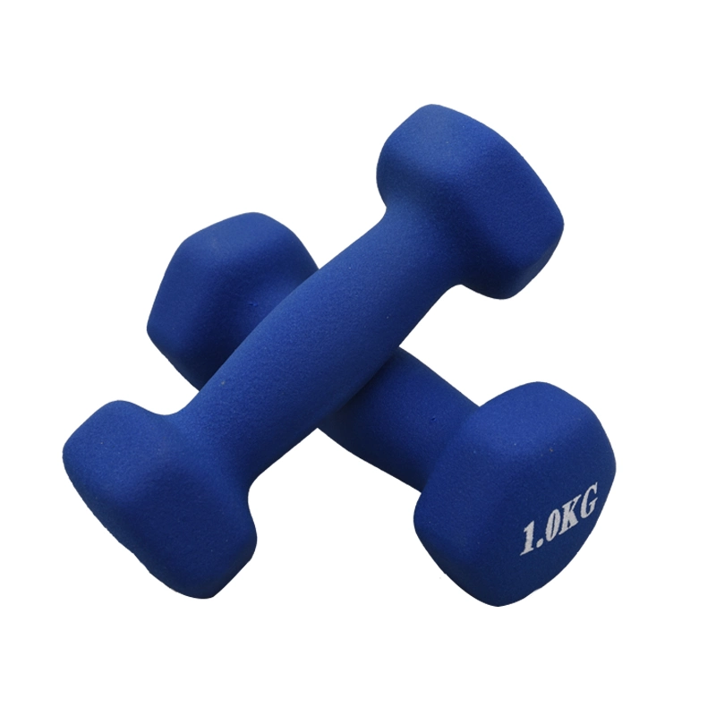 Home Gym Equipment Workouts Strength Training Hand Weight Dumbbell