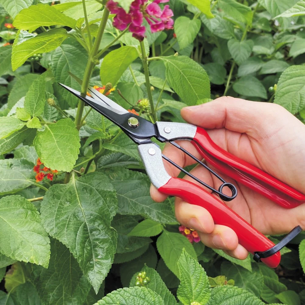 Long Straight Needle Nose Flower Gardening Shears Hand Pruner Floral Secateurs Pruning Scissors Horticultural Tools