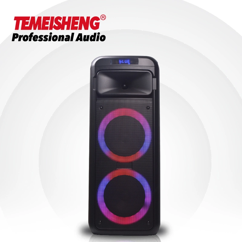 2022 Temeisheng Double 6.5 Inch Professional Wireless Outdoor Colorful Light Powered Bass Surround Sound Karaoke Speaker