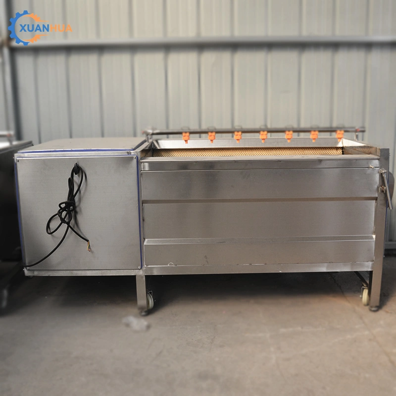 Pumpkin Washer Fruit Processing Garlic Cleaning Tomato Cleaning Pumpkin Washing Machine