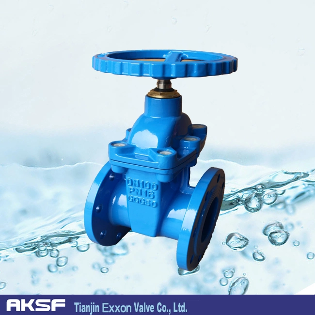 Ggg40/Cast Iron/Ductile Iron Gate Valve with Non Rising Stem