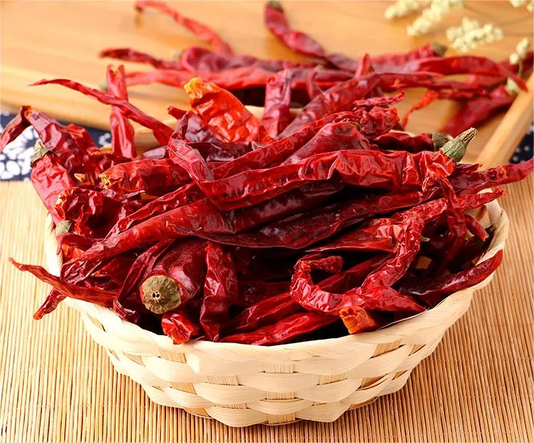 Best Natural Hot Dry Red Chili China Long Chilies