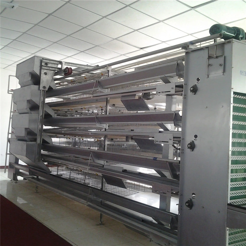 Customized Safe High Quality Cost Poultry Equipment From Own Factory