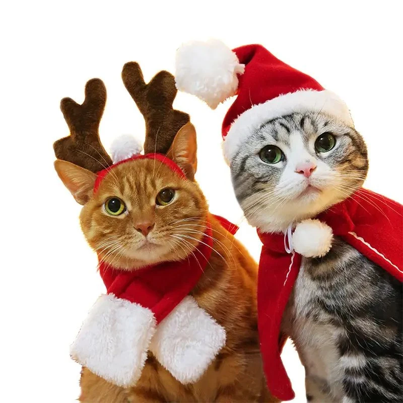 Vente en gros produit d'animal de compagnie de luxe Halloween de Noël PET vêtements Costume Cat Vêtements pour chiens