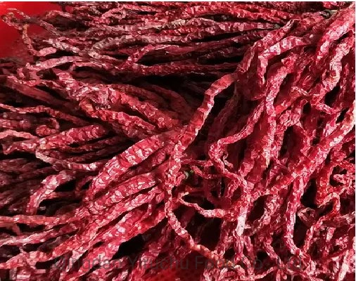 High quality/High cost performance  Factory Supply Red Dry Chilli