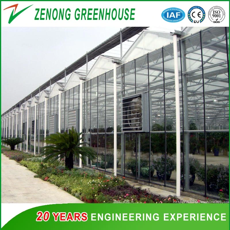 Easy Install Steel Structure Glass Greenhouse for Agriculture/Vegetable/Flower