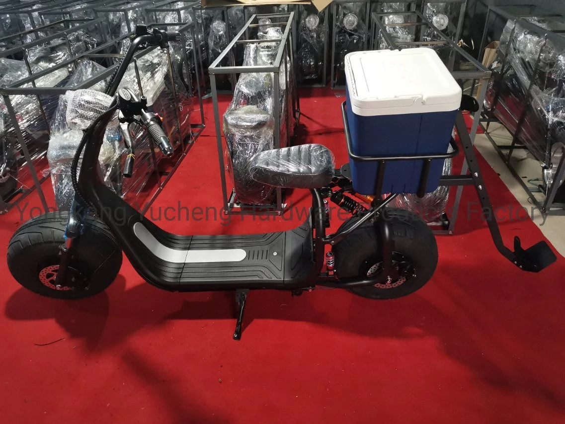 Electric Fat Tire Golf Scooter 2000W 20ah Lithium Battery CE Surf Scooter Fishing Bike