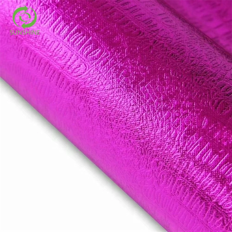 China Manufacturer PP Spun Bond TNT Laminated Non-Woven Fabric