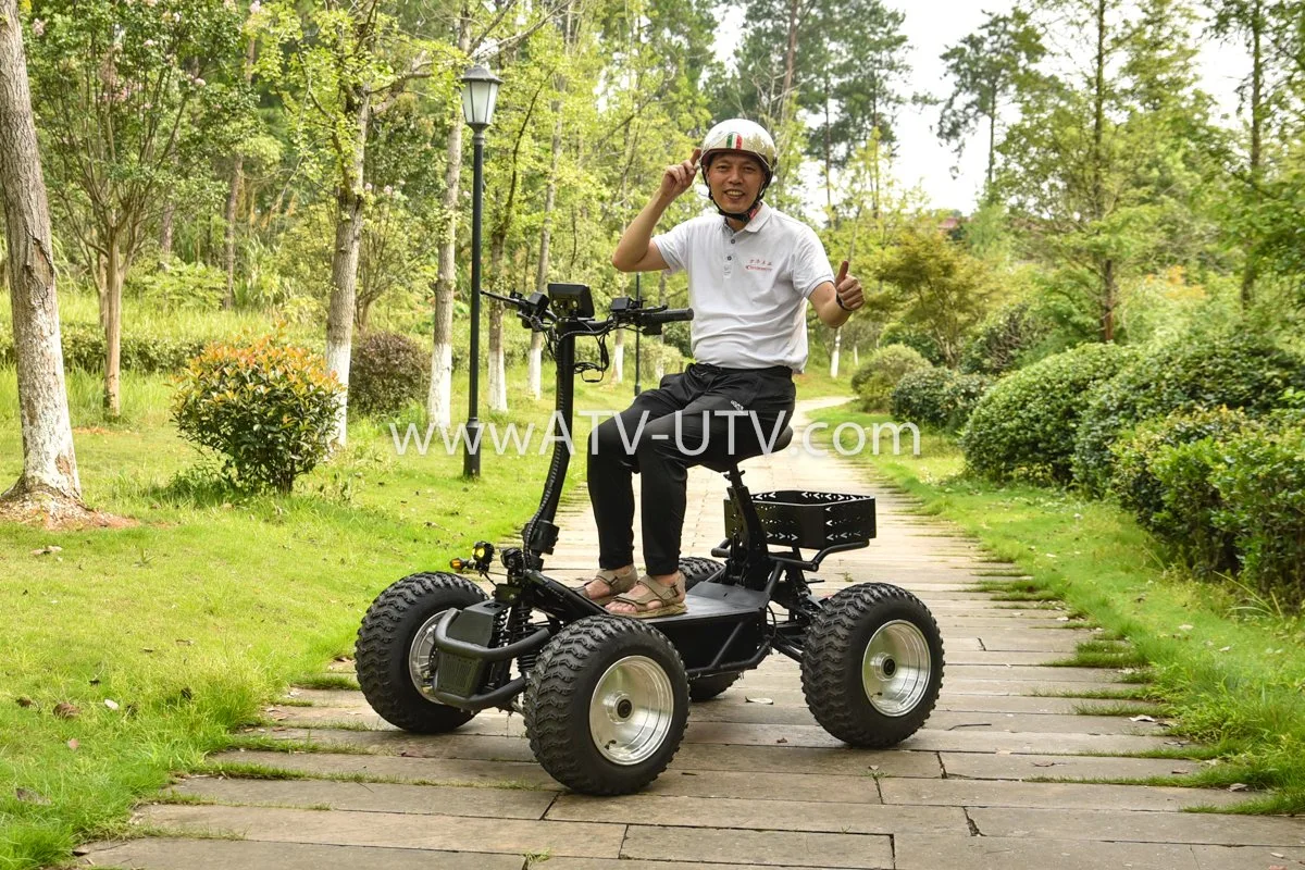 4000W 6000W 8000W 4X4 off Road 4WD Electric Skateboard EEC Four Wheel Scooter 5000W/8000W