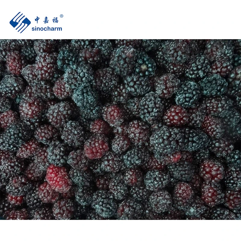 Sinocharm Frozen Berries IQF Fruit Whole 1kg Frozen Fresh Blackberry with Brc a Certification