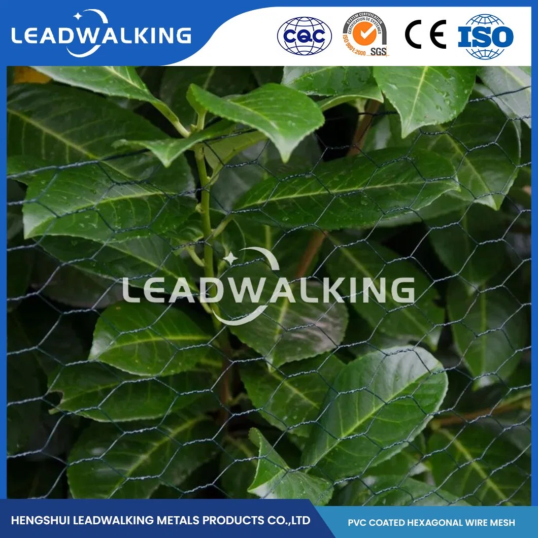 Leadwalking material de alambre de acero suave PVC recubierto de malla de pollo metálico Fabricantes China 19mm Mesh Galvanized Metal Hexagon Netten