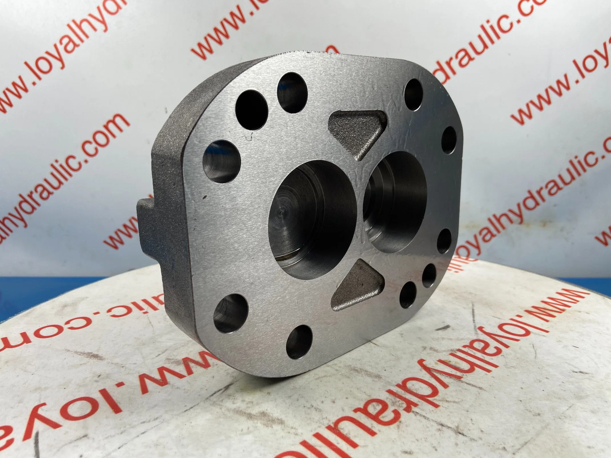 P75, P76, P315, P330 Hydraulic Gear Pump for Crawler Excavator, Forklift, Power Tools, Chain Saw Spare Parts