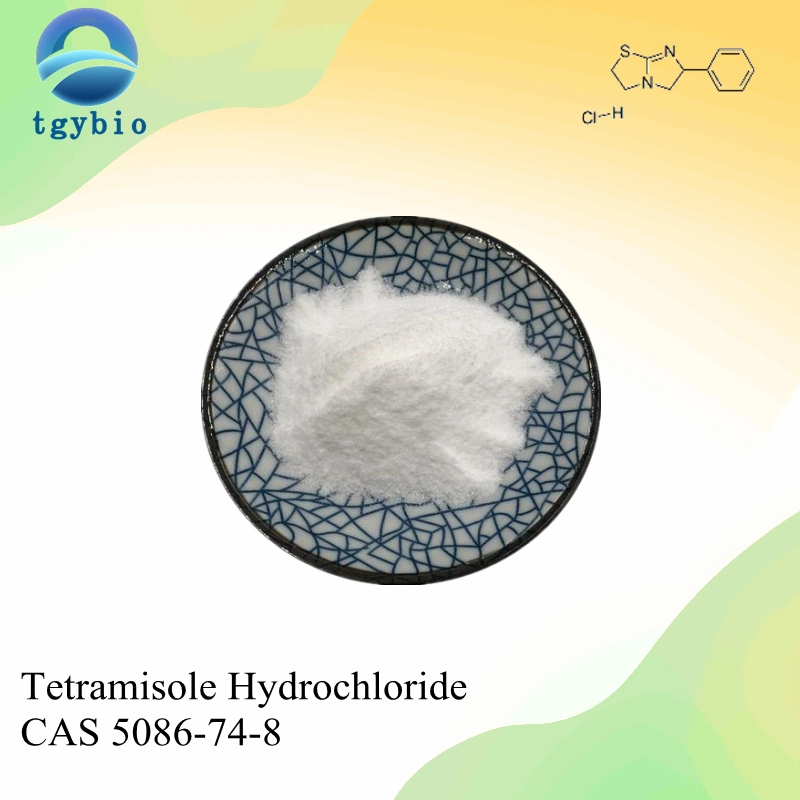 High Quality Tetramisole Hydrochloride CAS 5086-74-8 with Best Price