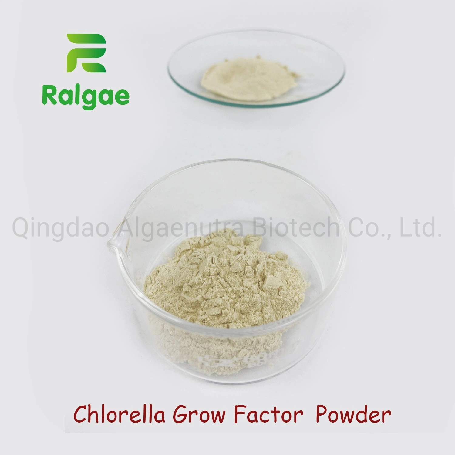 High quality/High cost performance Chlorella Extract Grow Factor Powder in Bulk