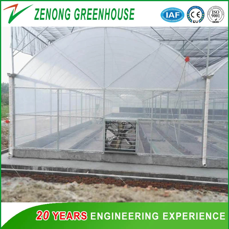 Chinese Factory Supply Film Commercial with Shading Net System for Lecture