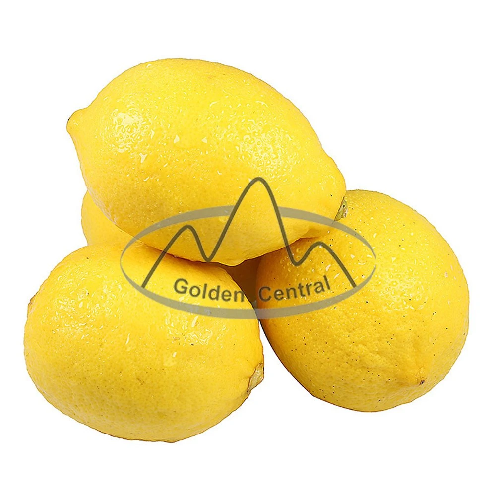 Venta caliente Precio barato Limones frescos de China