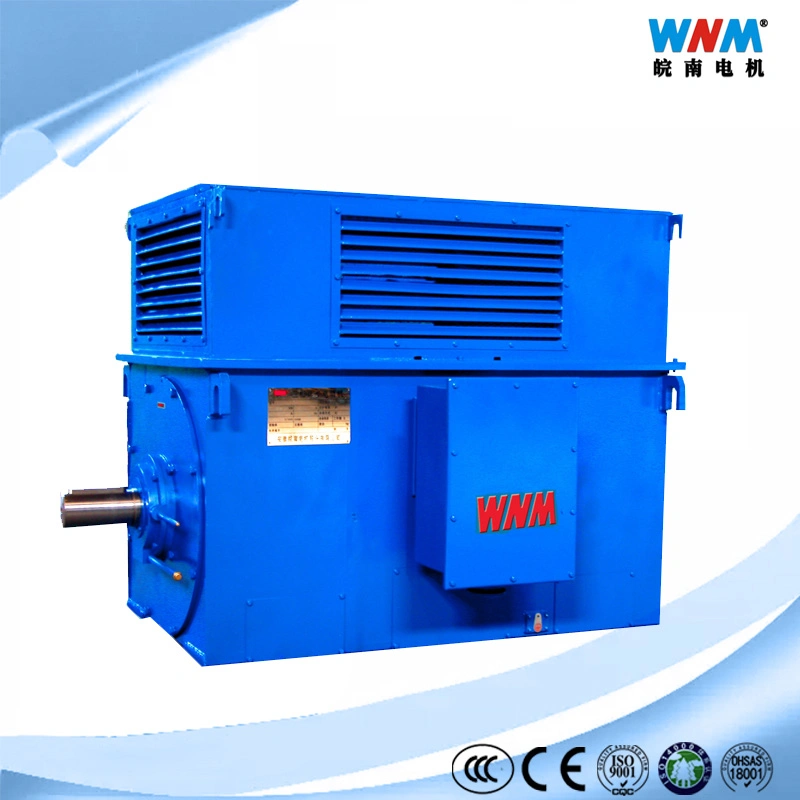 IEC Standard High quality/High cost performance  Premium Efficiency Three Phase Induction AC Motor Drive in Electrical Control System for Cements Mining Food Plant Textile