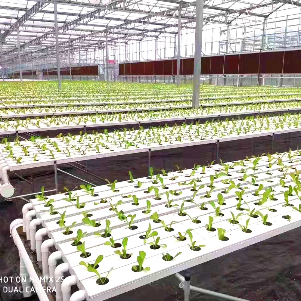 Accueil ferme NFT Channel Hydroponics système de croissance avec intérieur extérieur Jardinière de légumes intelligents jardinière de fruits intelligente