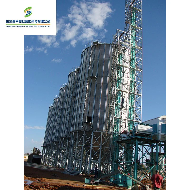 Shelley silo de la farine de grain de la Chine les fournisseurs de Silo en Acier inoxydable de 14 tonnes a galvanisé le fond du bac, les aliments pour volaille Silo Silo de fond de trémie