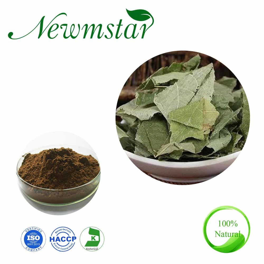 Natural Herbal Plants Epimedium Extract / Horny Goat Weed Extract