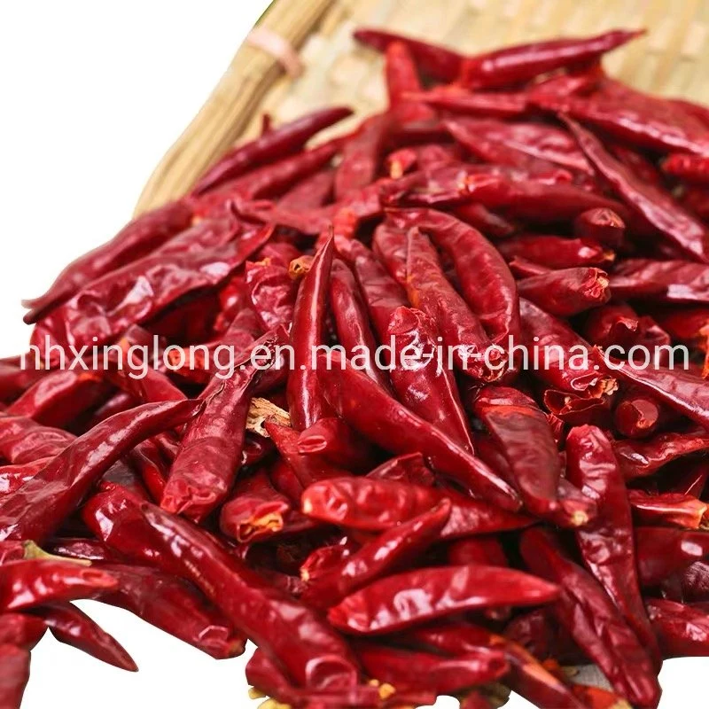 Tianjin Chili/Tientsin Chilli/Tianying Chili From Hehan Plant Base