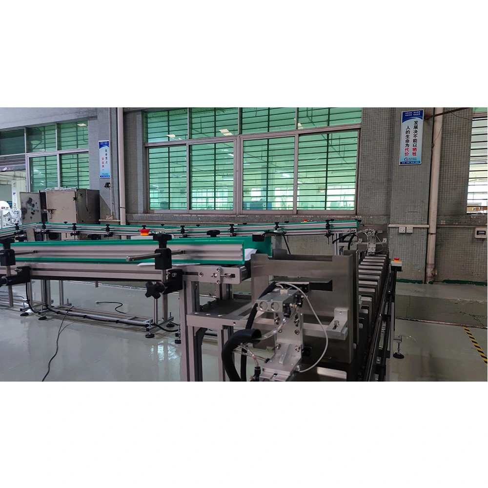 Gskzj-110 Flat Anti-Foam Disposable Face Mask Packing Machine