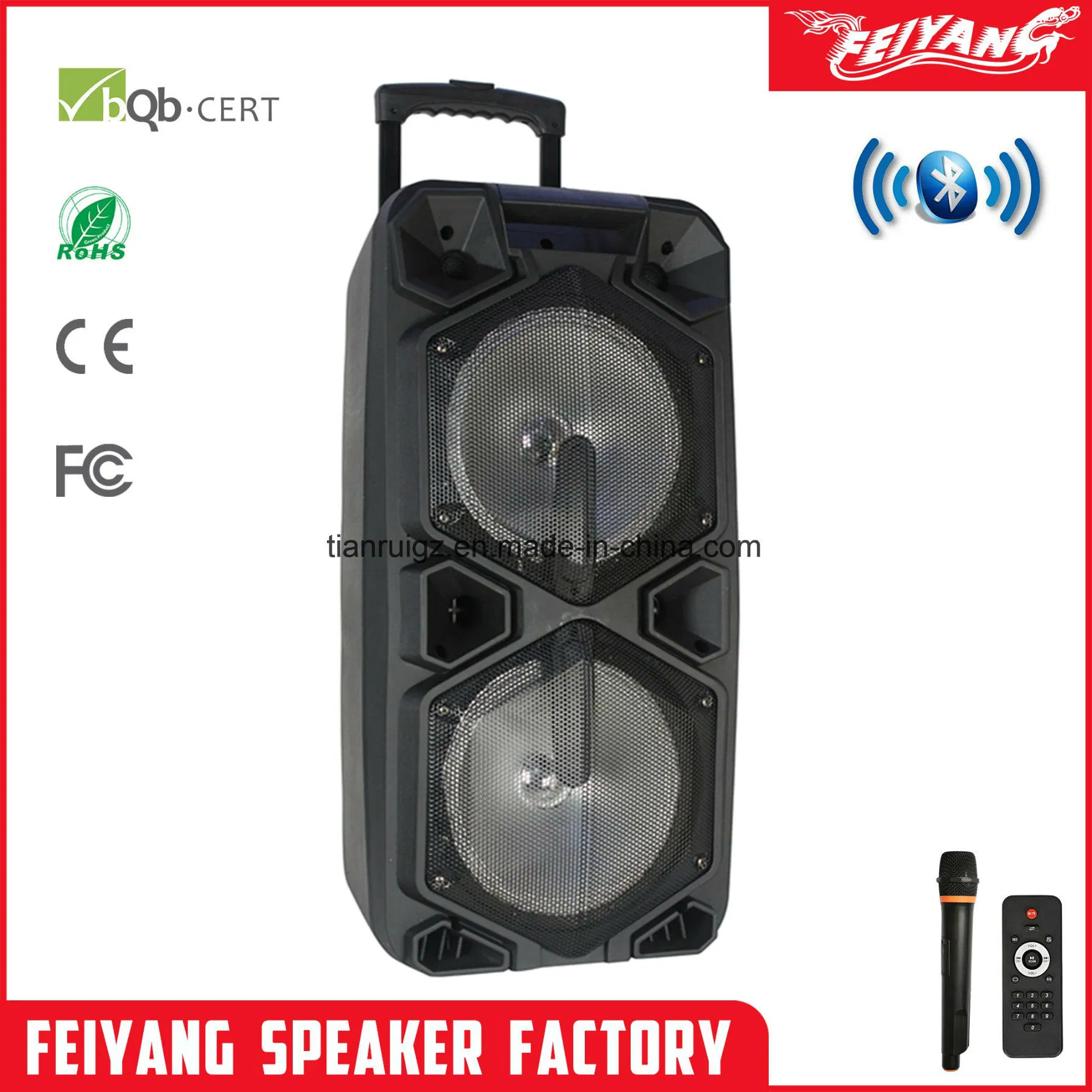 Feiyang Double 10 Inch Big Power Rechargeable Battery Trolley Speaker